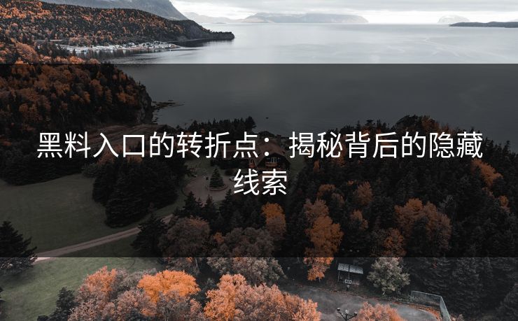 黑料入口的转折点:揭秘背后的隐藏线索