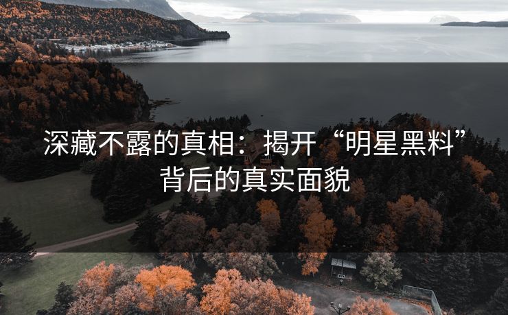 深藏不露的真相:揭开“明星黑料”背后的真实面貌